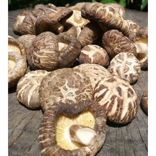 Dried Food